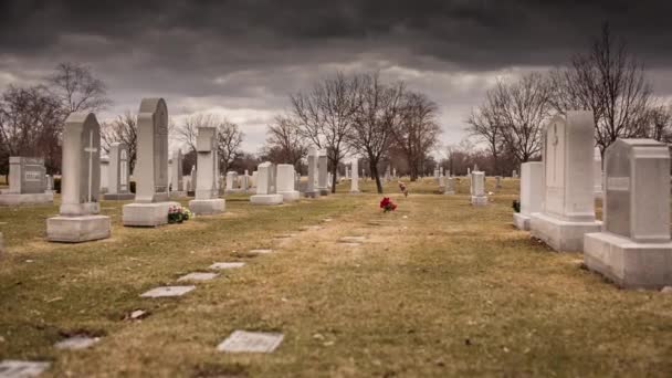 Muitas Lápides Cemitério — Vídeo de Stock