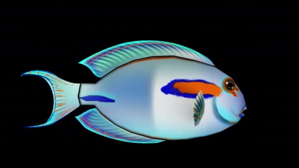 Cartoon Tang Fish Silver Transparent Alpha Background — Vídeo de Stock