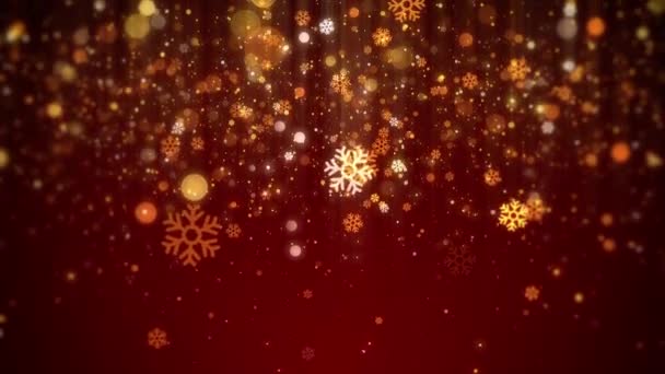 Фон Рождественских Огней Падающими Снежинками Анимации — стоковое видео