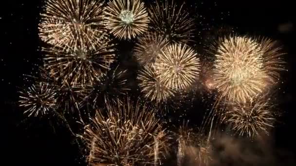 Fireworks Celebration Animation — Stock video