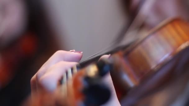 Violin Ensemble Plays Symphony — ストック動画