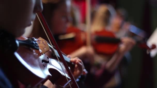 Ensemble Plays Violin — Vídeos de Stock