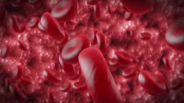 Background Animation Motion Graphic Red Blood Cells Movement Videoclip