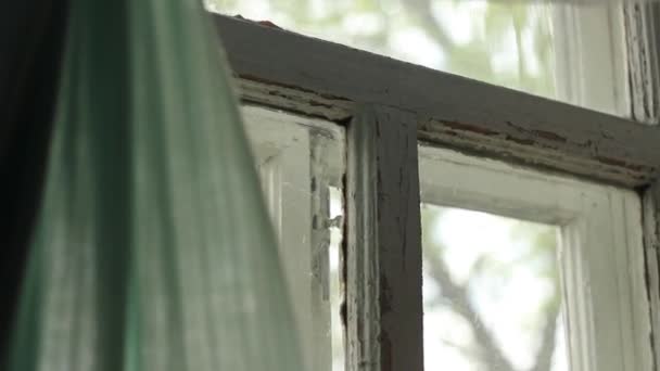 Old Village Country House Window — Stockvideo