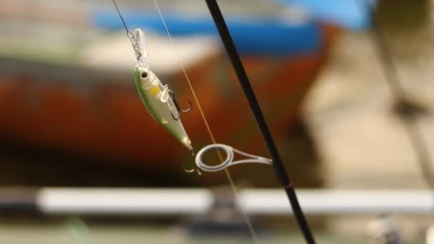 Fishing Bait Rod — Vídeo de Stock