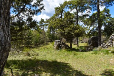 Dağların güzel manzarası