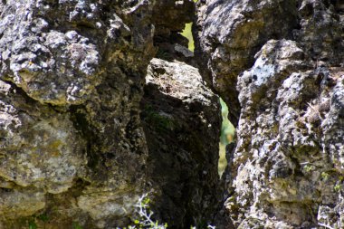 Taş duvarın dokusu ve arkaplanını yosun ile kapat