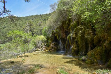 ormanda güzel şelaleler