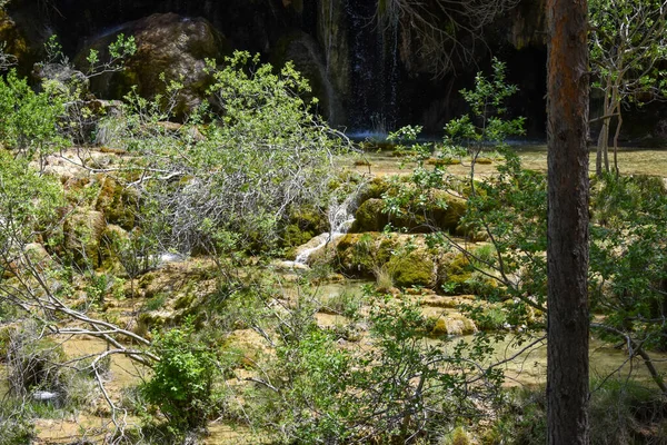 Río Parque —  Fotos de Stock