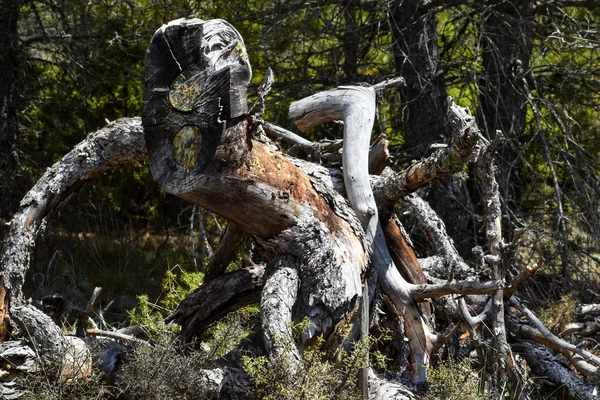 Parkta büyük bir ağaç gövdesi.