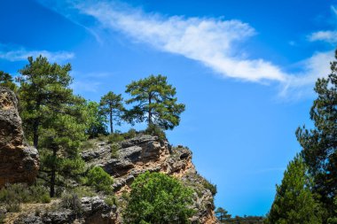 Dağların güzel manzarası