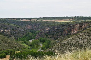 Nehir manzarası ve ormandaki ağaçlar.