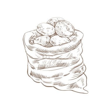 Bir paket patates skeci. Beyaz arka planda patatesli kumaş torbası