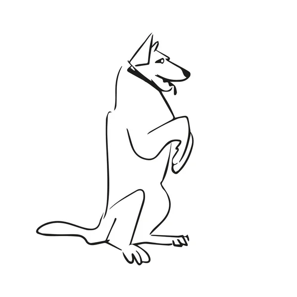 Smart Dog Sketch Dog Training Obedient Dog White Background — 스톡 벡터