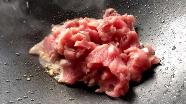 Cerdo Frito Picante Con Albahaca Sagrada — Vídeo de stock