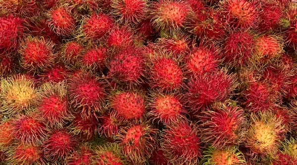 Rambutan helps expel waste from the kidneys. Because the rambutan contains phosphorus compounds. Phosphorus is a substance that helps to drive waste out of the kidneys. Therefore, eating rambutan helps the kidneys to expel waste more easily.