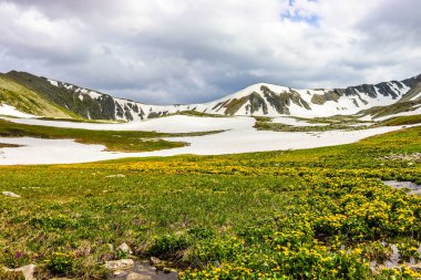 Doğu Kazakistan Dağları