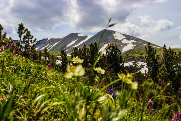 Doğu Kazakistan Dağları