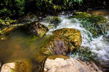 Ormanda güzel bir şelale