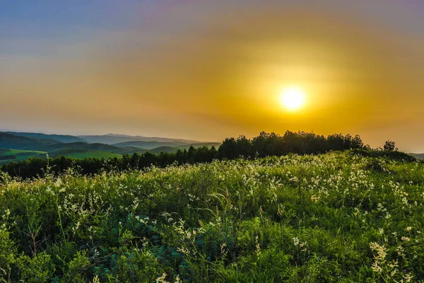 Puesta Sol Nebulosa Sobre Verdes Colinas — Foto de Stock