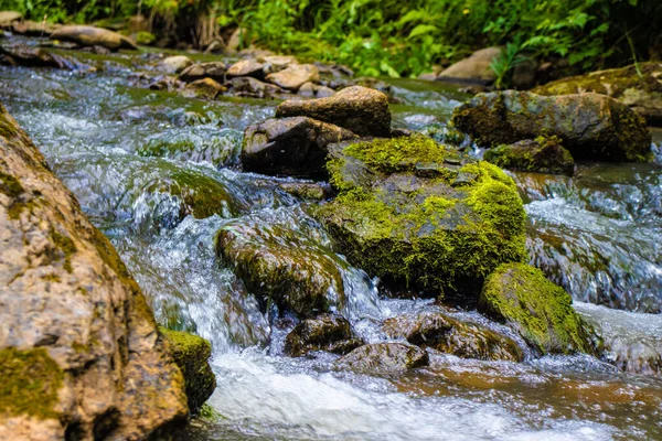 Hermoso Río Montaña Bosque — Foto de Stock