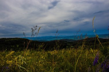 Dağlarda dağları olan güzel bir manzara.