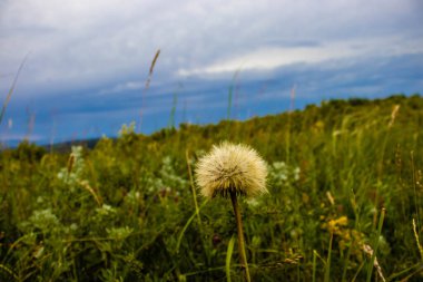 Şehrin üzerinde fırtına bulutları vardı.