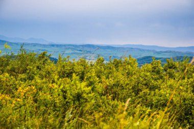 Dağlarda dağları olan güzel bir manzara.