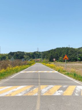 Bu tecavüz çiçeği yolu.