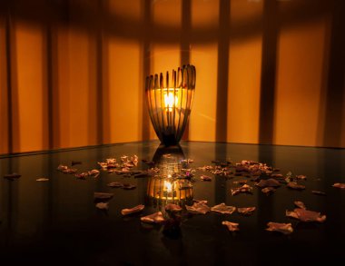 Fransa, Provence 'deki bir tarlada lavanta çiçeklerinin muhteşem gelişimi