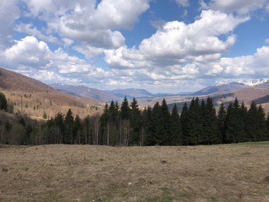 Dağlarla, ormanlarla ve mavi gökyüzüyle dağ manzarası
