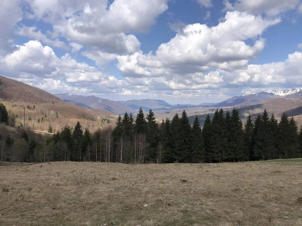 Dağlarla, ormanlarla ve mavi gökyüzüyle dağ manzarası