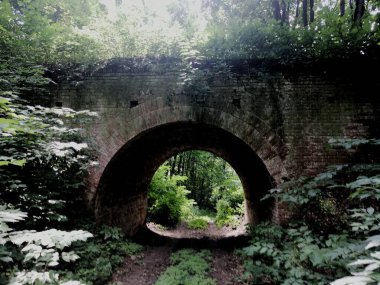 Şehir parkının güzel manzarası