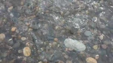 Nehirler, su, göller, kayalar ve doğa temalı video veya çekim projelerinize uygun temiz ve sakin bir nehir akışına sahip küçük kayalar.