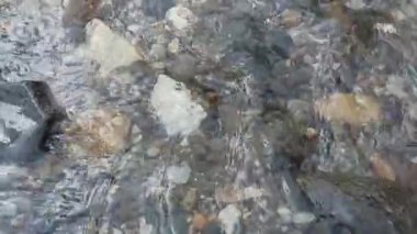 Nehir akışı, su, göl, kaya ve doğa temalı video veya video projelerinize uygun ve ferahlatıcı