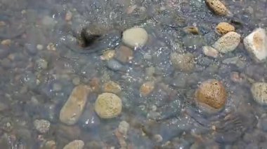 Küçük kayalar, nehir, su, göller, kayalar ve doğa temalı video veya çekim projeleriniz için uygun olan temiz ve sakin akışı bozar