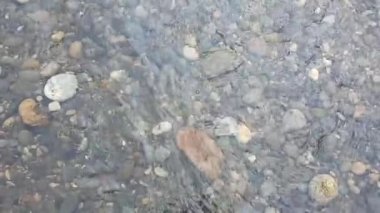 Nehirler, su, göller, kayalar ve doğa temalı video veya çekim projelerinize uygun küçük kayalar arasında küçük dalgalar ve nazik nehir akışı