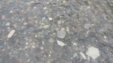 Nehir suyunun güzelliği gündüz vakti kayalar arasında dans eder. Nehirler, su, göller ve doğa temalı video veya çekim projelerinize uygundur.