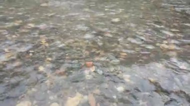 Nehirler, su, göller ve doğa temalı video veya çekim projelerinize uygun sakin ve berrak bir nehir akışına sahip küçük kayalar.