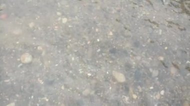 sakin nehir suyu videonuz için uygun ya da akarsular, su, göller ve doğa temalı çekim projeleri