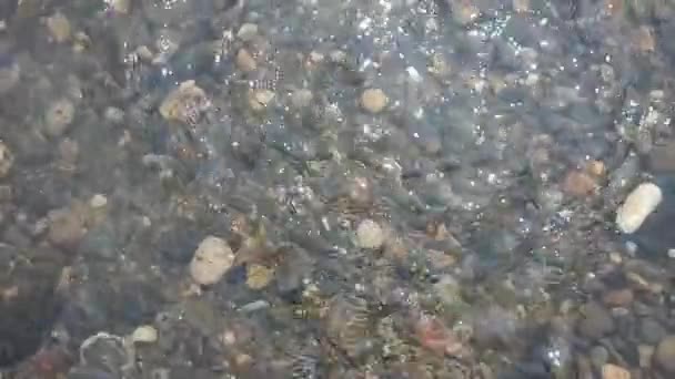 Kleine Felsen Einem Sehr Klaren Und Ruhigen Fluss Geeignet Für — Stockvideo