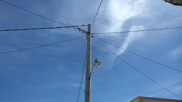 Electric Pole Cable — Stockvideo