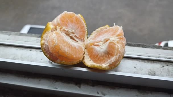 Orangen Halbiert — Stockvideo