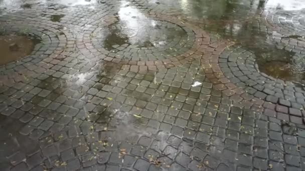 Light Rain Pools Stone Floor City Park — Vídeo de Stock