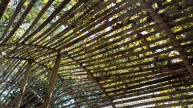 Koridora benzeyen bölünmüş bambu tasarımı bambu, koridorlar, mimari temalı video ya da görüntü projeleriniz için uygundur.