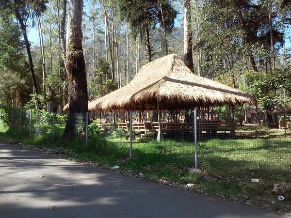 竹屋的结构 竹屋住在茅屋里屋顶的那一部分是竹子做的 天花板是竹子做的 — 图库照片