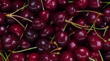 Olgun kirazların arka planında su damlaları var. Yüksek kalite 4k görüntü