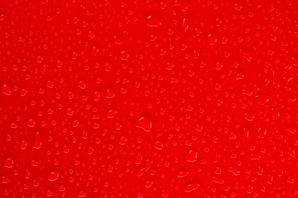  Kırmızı arkaplan ve su damlaları üst görüntü. Yüksek kalite 