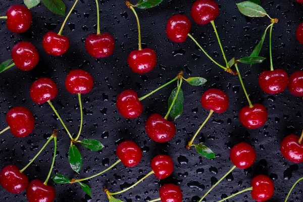  Siyah zemin üzerinde su damlaları olan, yeşil yapraklı, olgun vişnelerin arka planı üst manzaraya yakın. Yüksek kalite 