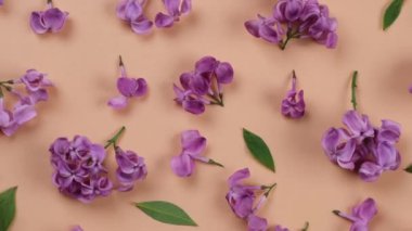Şeftali ya da bej arkaplanda mor leylak çiçeklerinin arkaplanı. Parlak arkaplan, çiçek ya da bitki tasarımı